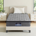 DOVE Series Giselle Mattress 26cm - Single